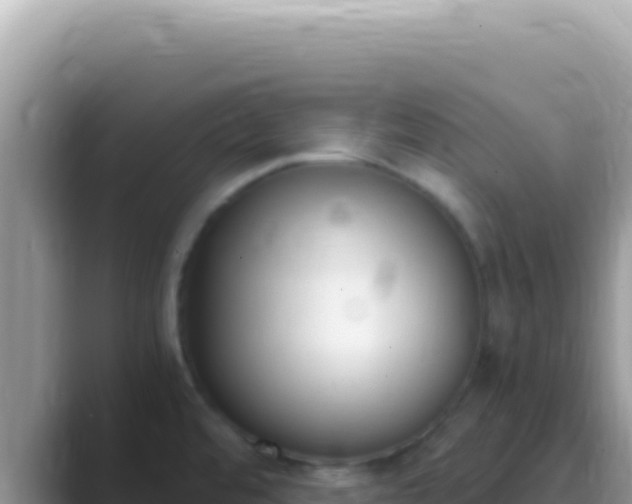 X0000089851480200707051106