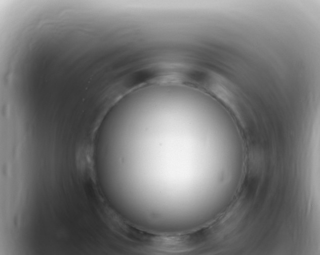 X0000089851481200707051106
