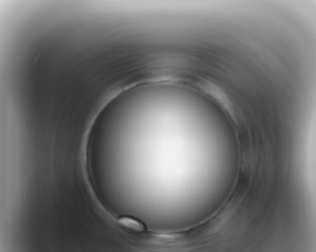 X0000089851483200707051106