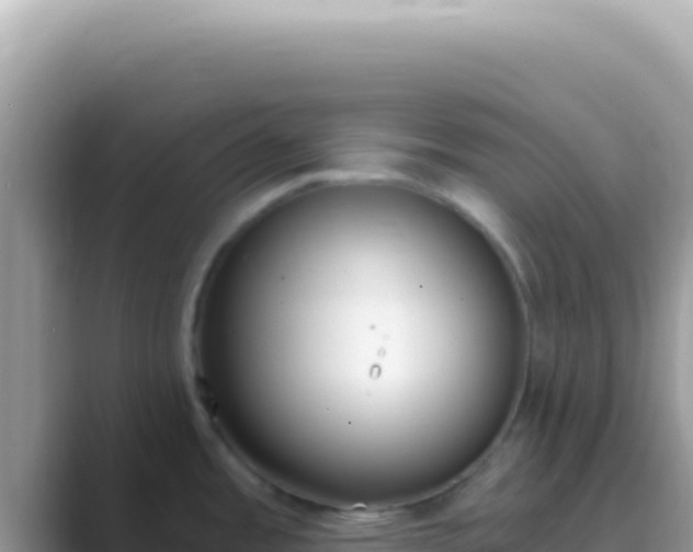 X0000089851485200707051106