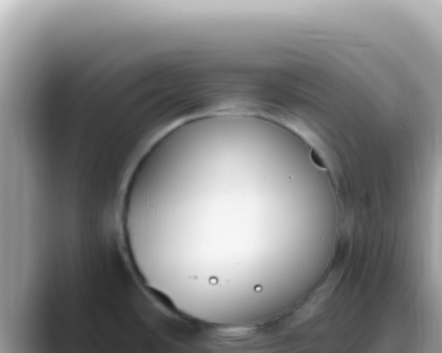 X0000089851486200707051106