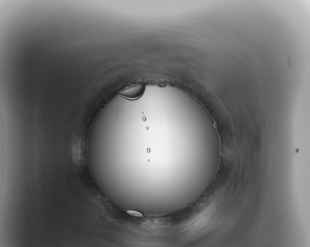 X0000089851490200707051105