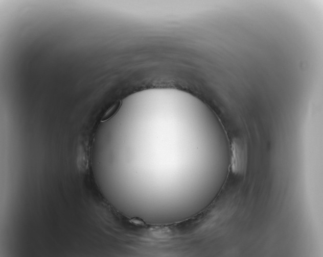 X0000089851491200707051105