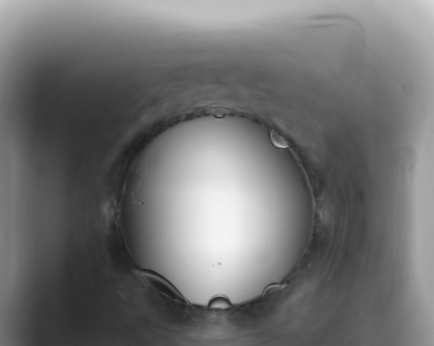 X0000089851495200707051105