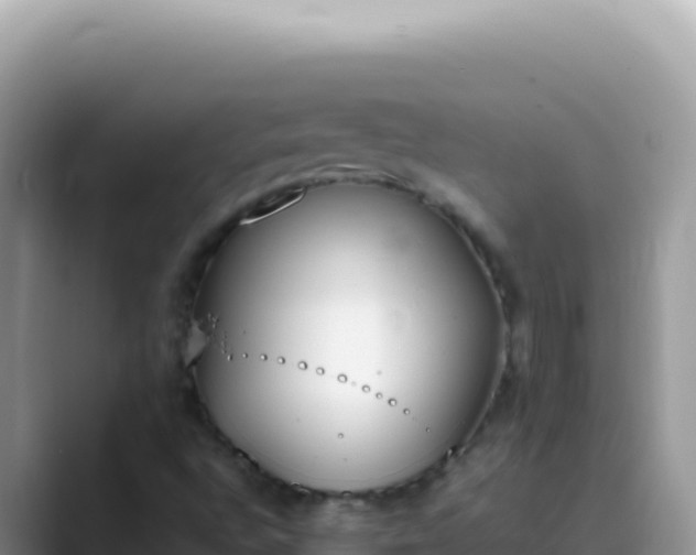X0000089851496200707051105