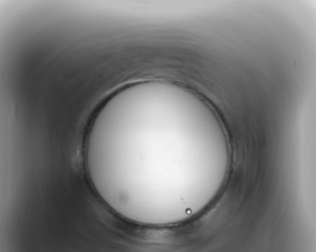 X0000089851498200707051105