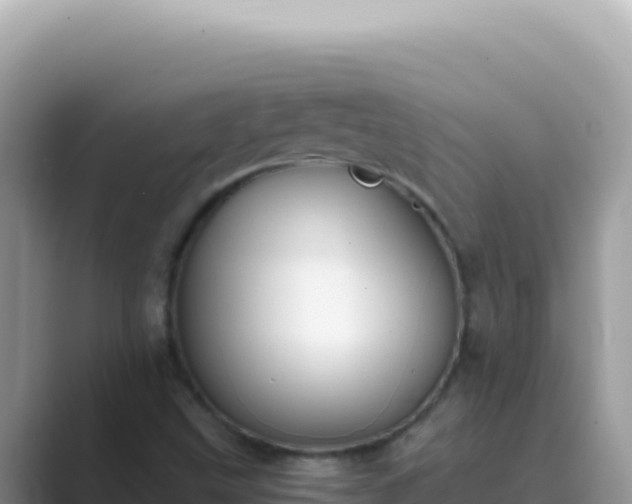 X0000089851499200707051105