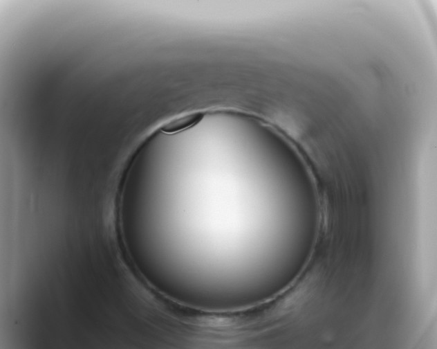 X0000089851500200707051105
