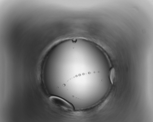 X0000089851502200707051105