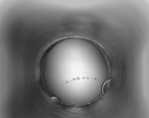 X0000089851503200707051105