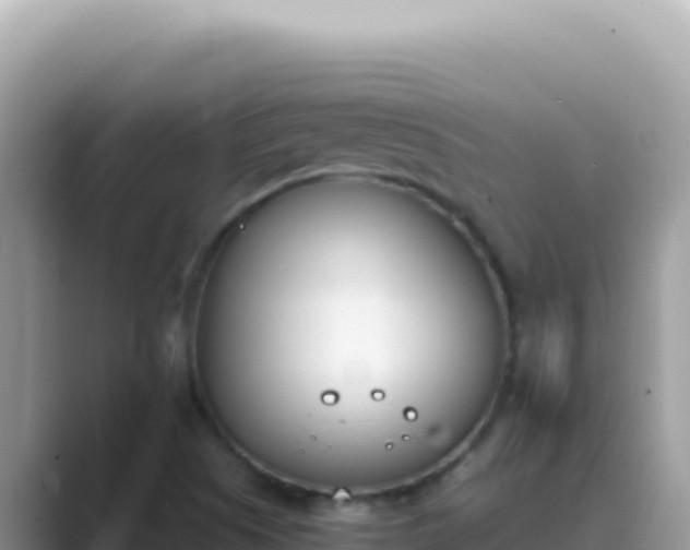X0000089851505200707051105