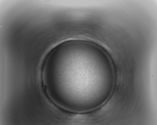 X0000089851506200707051105