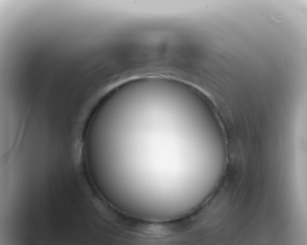 X0000089851507200707051105