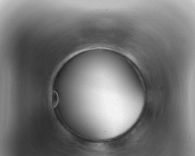 X0000089851508200707051105