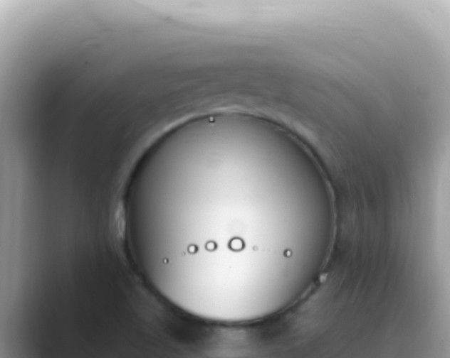 X0000089851509200707051105
