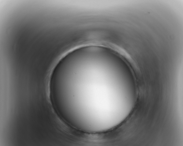 X0000089851512200707051105