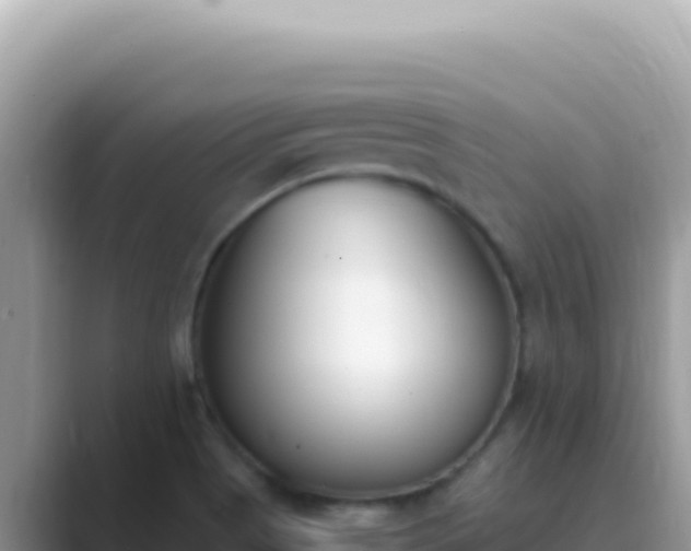 X0000089851513200707051105