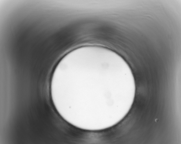 X0000089851514200707051105