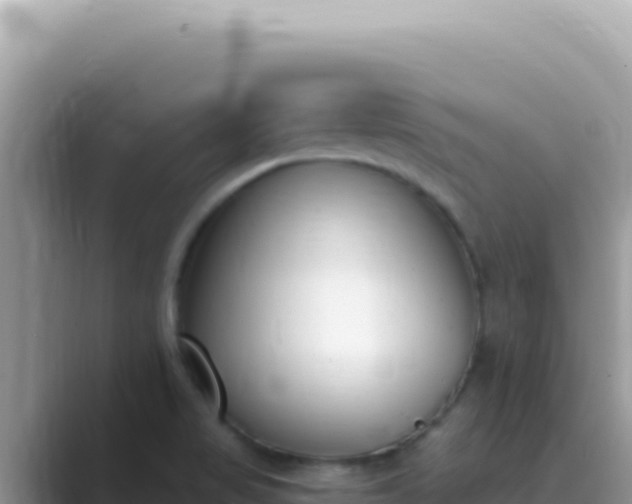 X0000089851517200707051105