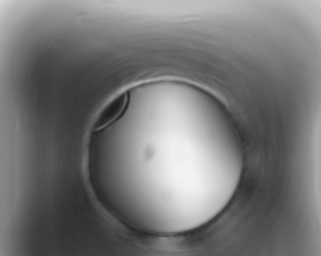 X0000089851518200707051105