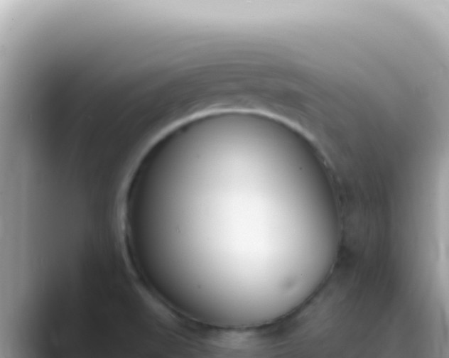 X0000089851519200707051105