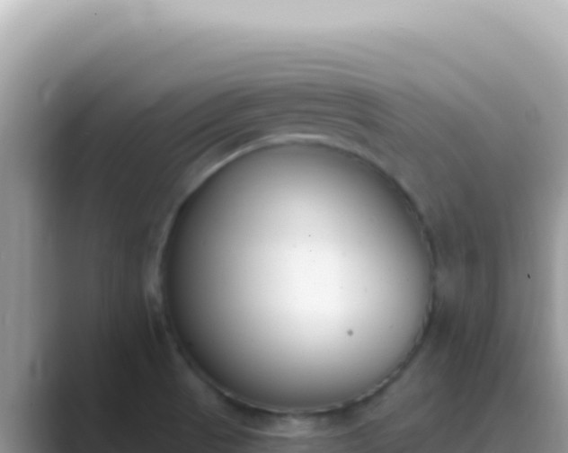 X0000089851521200707051105
