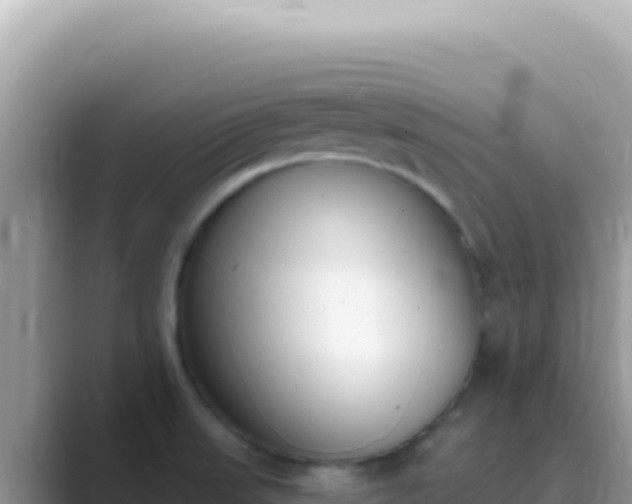 X0000089851523200707051106