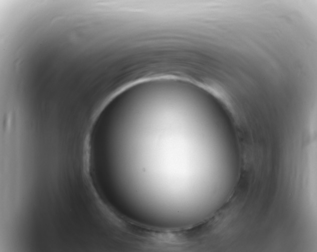 X0000089851524200707051106