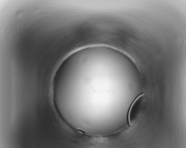 X0000089851526200707051106