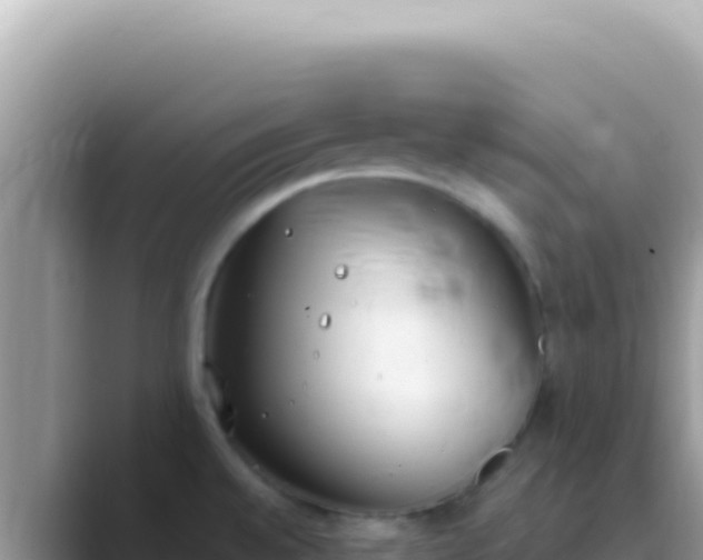 X0000089851528200707051106
