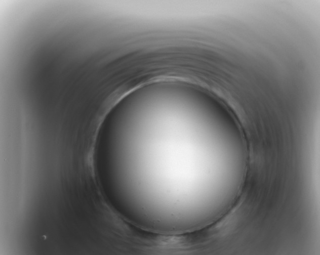X0000089851529200707051106