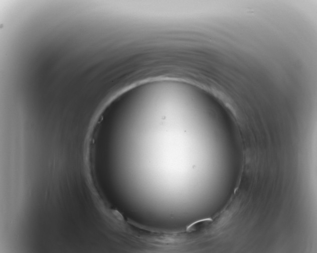 X0000089851530200707051106