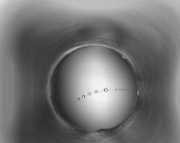 X0000089851531200707051106