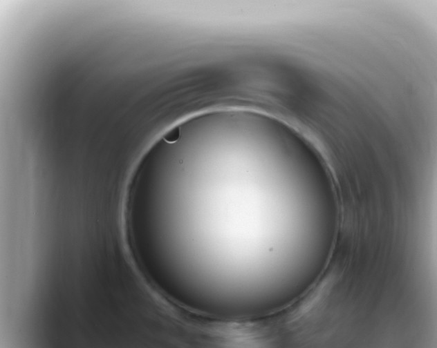 X0000089851533200707051106