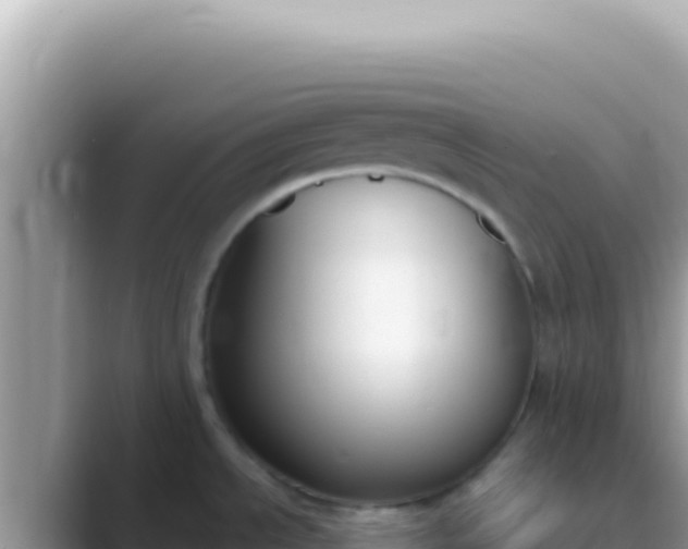 X0000089851534200707051106