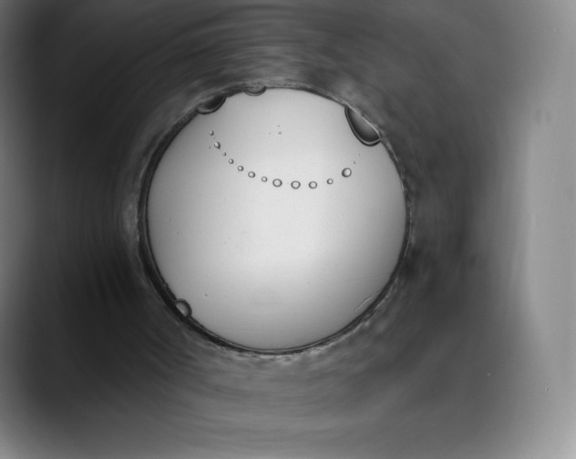 X0000089850002200707121726