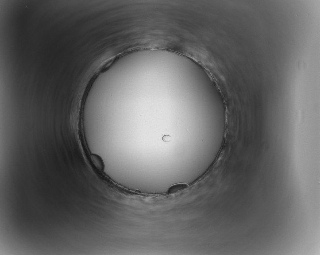 X0000089850003200707121726