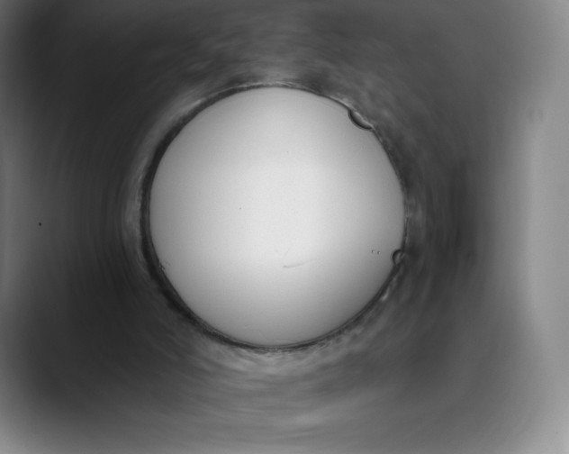 X0000089850006200707121726