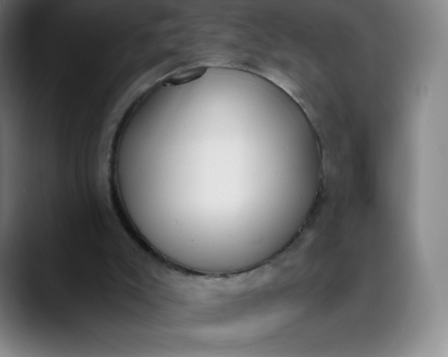 X0000089850007200707121726