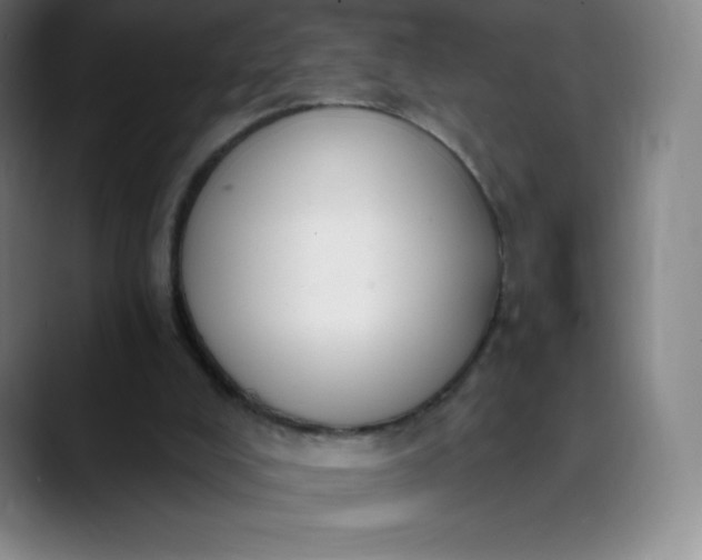 X0000089850008200707121726