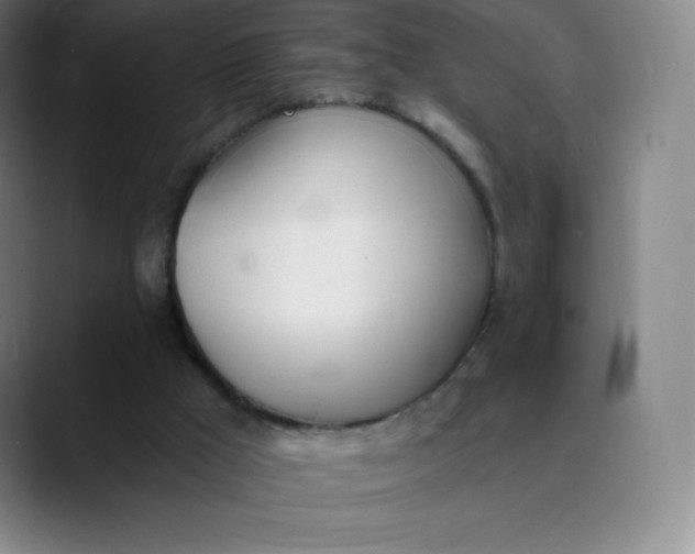 X0000089850009200707121726