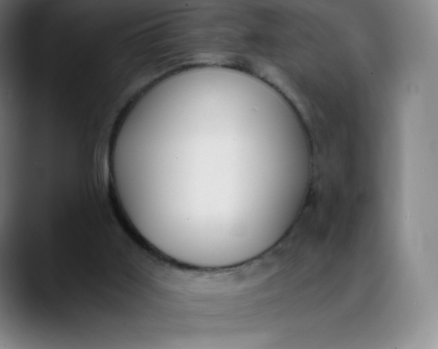 X0000089850011200707121726