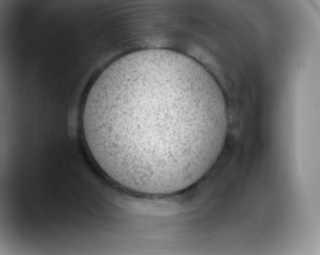 X0000089850012200707121726