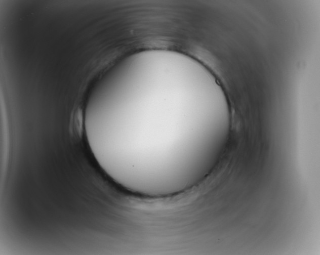 X0000089850013200707121726