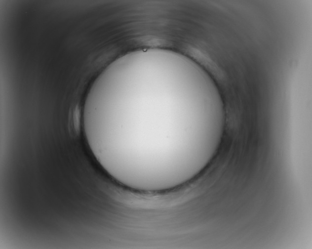 X0000089850014200707121726