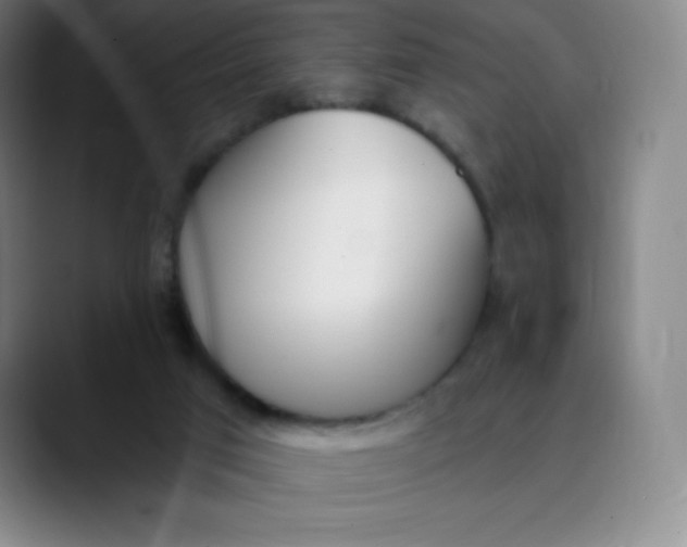 X0000089850017200707121726