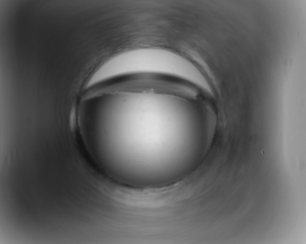 X0000089850019200707121726