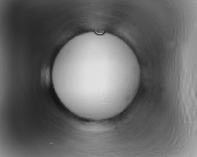 X0000089850020200707121726