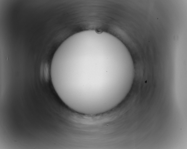 X0000089850022200707121726