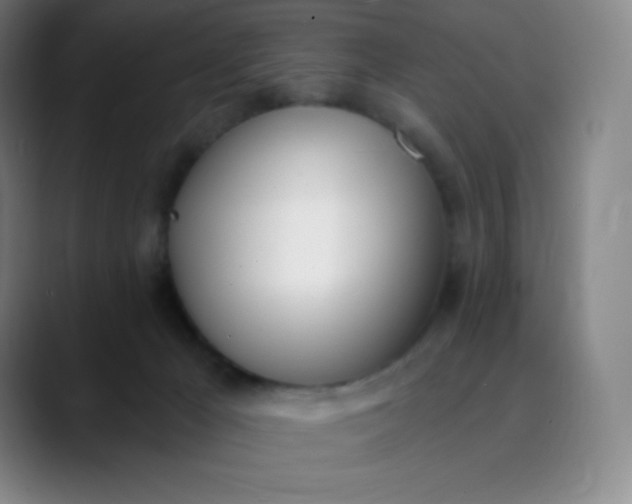 X0000089850029200707121726